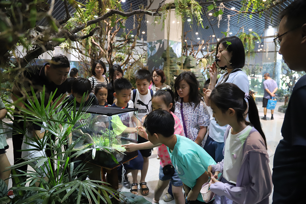 圖片4.png 圖片4.png